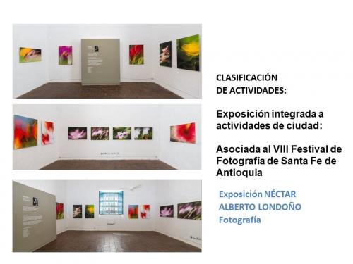 Diapositiva11