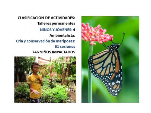 Diapositiva44